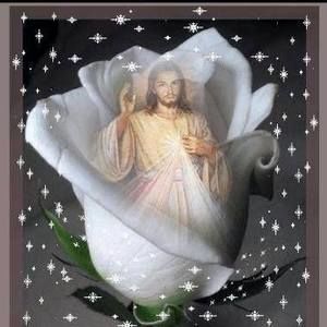 Meet your Posher, Jane